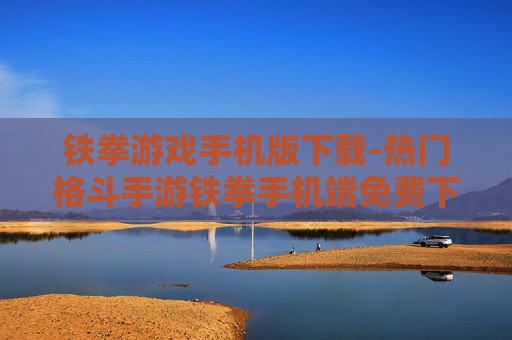 铁拳游戏手机版下载-热门格斗手游铁拳手机端免费下载渠道