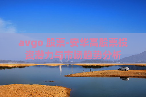 avgo 股票-安华高股票投资潜力与市场趋势分析