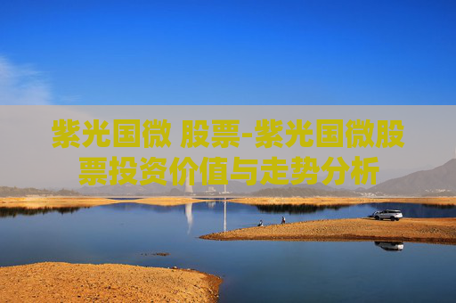 紫光国微 股票-紫光国微股票投资价值与走势分析
