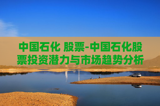 中国石化 股票-中国石化股票投资潜力与市场趋势分析