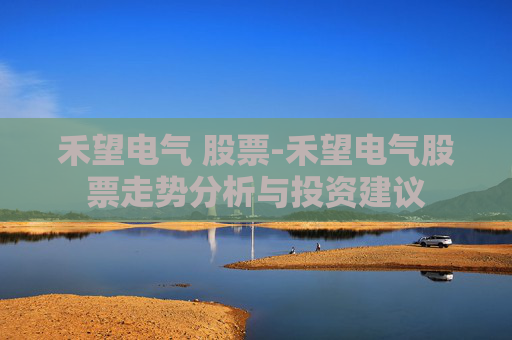 禾望电气 股票-禾望电气股票走势分析与投资建议
