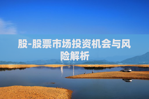 股-股票市场投资机会与风险解析