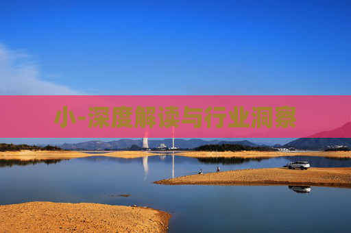 小-深度解读与行业洞察