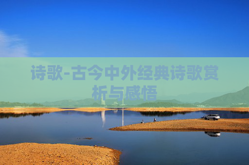 诗歌-古今中外经典诗歌赏析与感悟