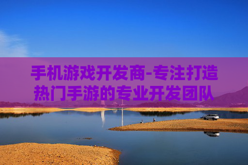 手机游戏开发商-专注打造热门手游的专业开发团队
