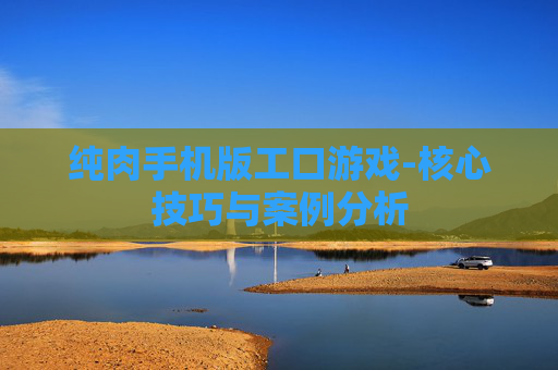 纯肉手机版工口游戏-核心技巧与案例分析